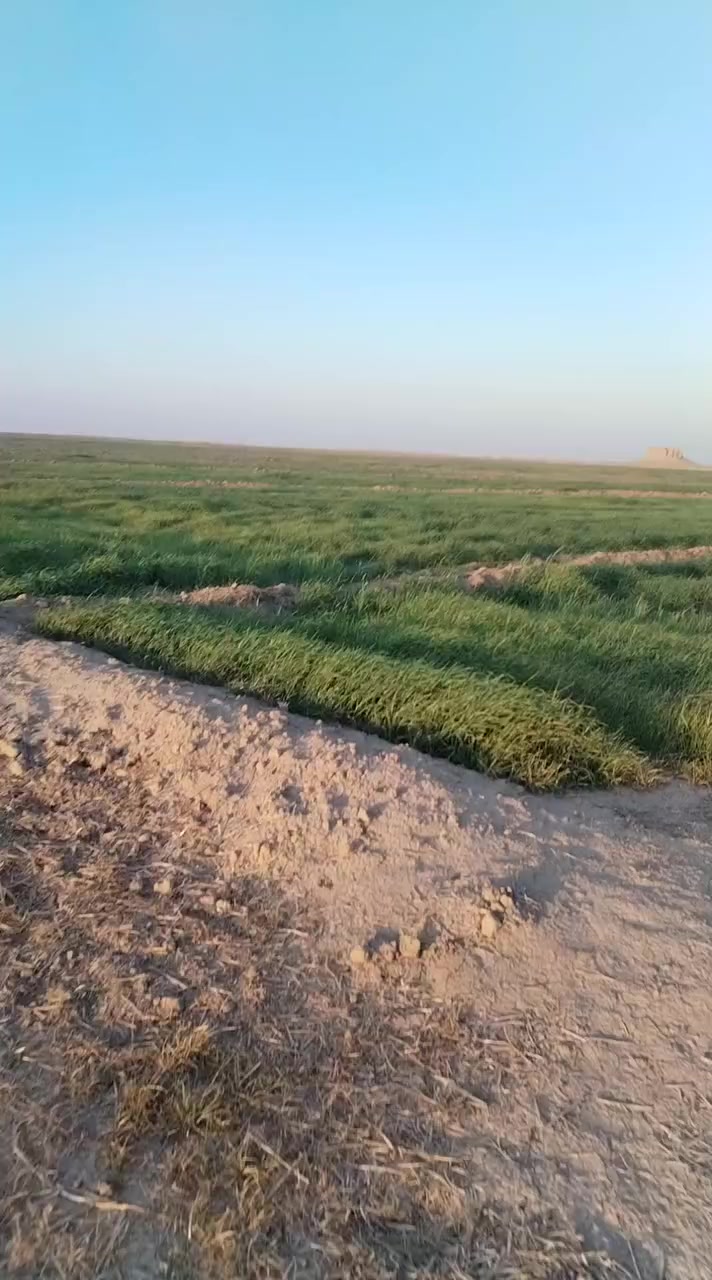 دغل للبيع 70 دونم  مكان الديوانيه  سومر قرب الزبليه مسكي رشنين ومنه رشن ***********
