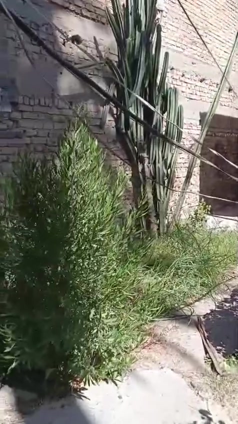 دار للاجار مساحه 180متر عكاده الحريه دور شارع جامع زين العابدين السايدين 
غرفتين نوم وصاله ومطبخ وهول وملحقات وكراج وحديقه ***********
