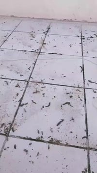 إعادة ماستك • تطبيك اشتيكر • ناصريه