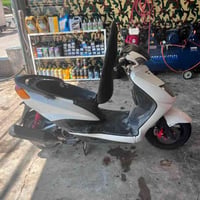 سكنس نثية • سلف • شغالة
