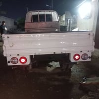 فحل للبيع مديل 19 دخول جديد  مكفول من ضربه وصبغ والبارد كير مكينه على ...