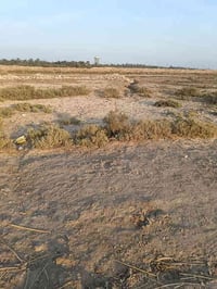 دوانم للبيع المدثره قرب المشتل عددهن 6 ونص مقابيل الأسأله الي بظهر الم...