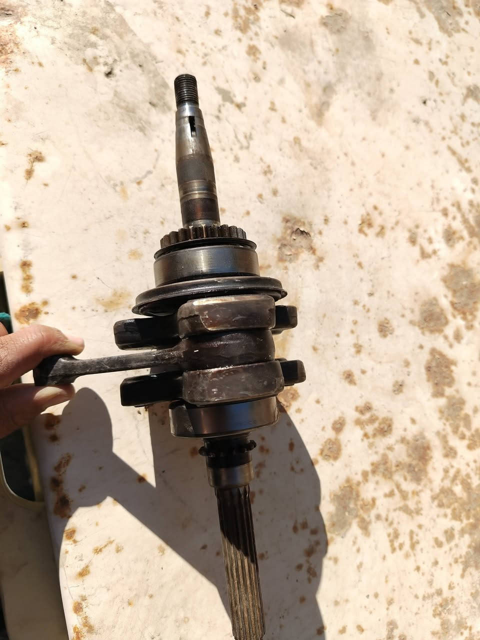 السلام عليكم يولد كرنك دراجة ماكس عدله البلادي مال تفصيخ مكاني ناصريه سوق الشيوخ السعر سوم اشمر عجبني ابيعك ولا تراسل تكلي شكد السعر السعر سوم
متواجد فيس و واتساب

رقمي: ***********
