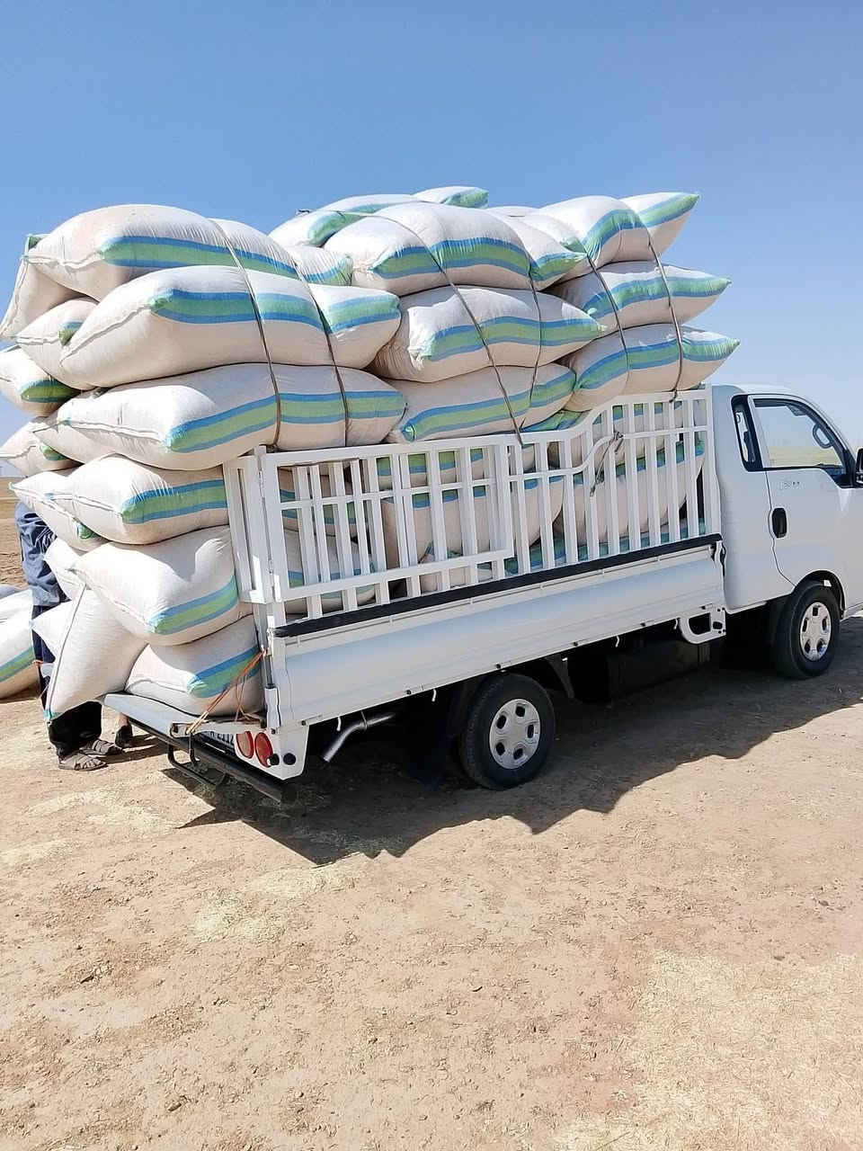 يوجد تبن للبيع مال سنه شرط نضافه شل ابو 90 طول 130 سعر 3الف مكانه مطروح المكان سكران الغربي رقم  ***********
