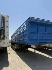 عريانه • شاصي ١٤ • طول ١٣٧٥