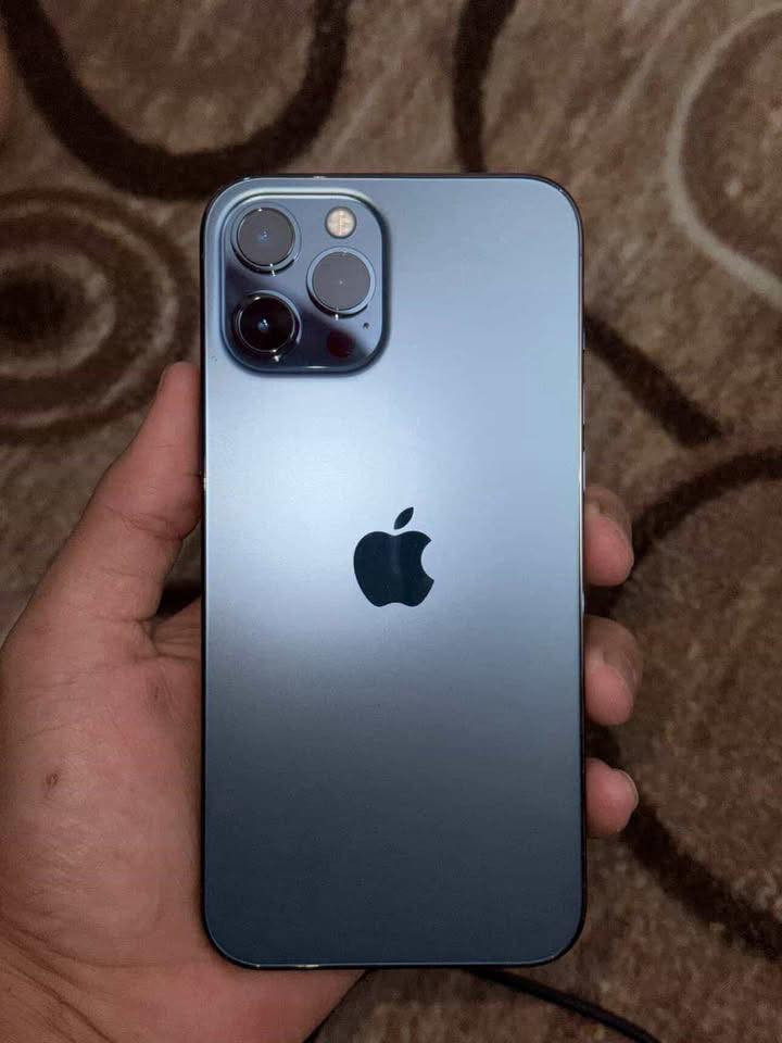 سلام عليكم ايفون 12 برو ماكس جهاز كلش حلو بلادي ذاكرة 256 بطارية 84  بل شحن كلش زين للبيع أو مراوس التواصل خاص


**إذا كنت صاحب هذا الإعلان وتريد حذفه لأي سبب، رجاءا أرسل رسالة إلى الدعم الفني**