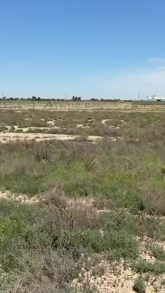 ارض طابو ((ملك صرف ))و ليس زراعي
مساحتها دونم ٢٥٠٠م ركن على طابو الكاظميه 
الواجهه٦٠ متر 
النزال ٤٠ متر 
المنطقه بيها بناء و مزارع قيد الإنشاء 
مزوده بماء و كهرباء 
للأستفسار الإتصال على الرقم ***********
***********
