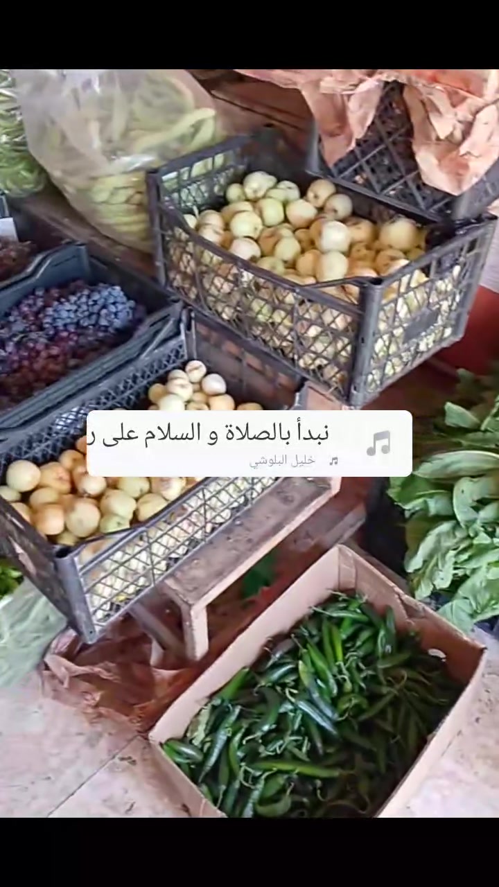 علا بركة الله مسواك اليوم جديد هسه وصل خضروات وفواكه ورقيات انواع وركي شرط وبطيخ جديد 
وحياكم الله،الاسعار ركي شرط 450 وبطيخ ب500 
وعنب حلو ب1250 تفاح ب750 فلفل كبار ب1250 فلفل ناعم بارد ب1500 وفلفل حار ب2000 خيار وسط 3ب1000 وطماطه 3ب1000 بطاطه ب500 اسود ب 500 بصل احمر ب750 كرستال 2ب1250 شجر ب3ب1000
باميه 2500 طرعوزي ب750 ،سلج 750 كرافس وبغدونس ب250 ورشاد وكراث هم بربع محل وليد العايد قرية اصفيه 
والعليه دين يجي يسدد هاذا اخر شهر اطالب خاصه الدين القديم،بعده اقدم دعوه والمحكمه تقرر،


**إذا كنت صاحب هذا الإعلان وتريد حذفه لأي سبب، رجاءا أرسل رسالة إلى الدعم الفني**