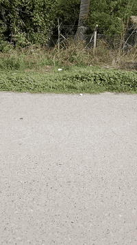 اخوان ست دوانم للبيع طابو ملك صرف مباشرتن عل شارع الواجهه 35 نزال 500 ...