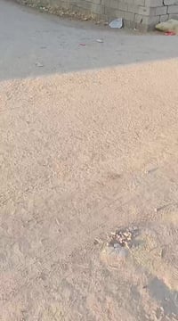 كوفه شارع المعمل • مقابل مدرسة علي الرماحي • ١١٠م