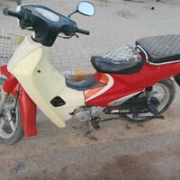 دلم • كاملة • بعقوبة