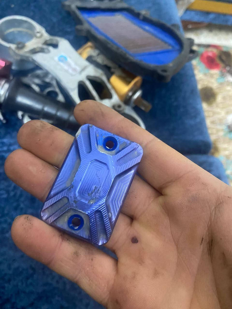 السلام عليكم غراض
١٢٠ / سكنس فحل جبلي ثعلب
 كلهن اصليات وعل شغل مكفولات 
مكاني بغداد الشعلة أي ستفسار خاص او *********** بس واتساب
توصيل موجود جميع محافظات العراق  تحياتي للجميع
ملاحضة أي قطعة تعجبك راسلني او علق بصورة وتدلل تحياتي
