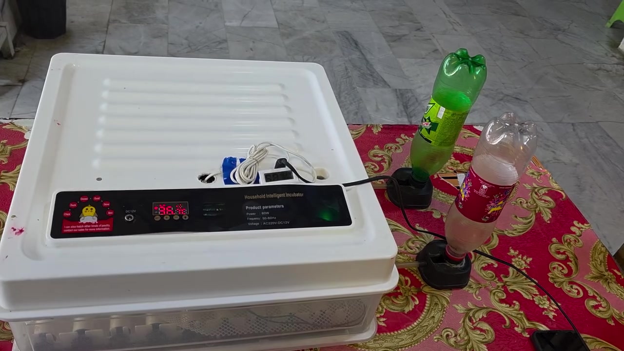 السلام عليكم
يوجد لدينا فقاسه بيض
عنوان /بابل-مركز المدينه
سعر خاص 
الستفسار تصال على الارقام 
***********
***********
