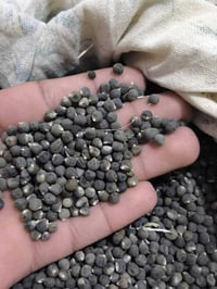 مرخصة • ادمن