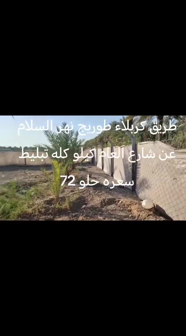 طريق كربلاء حله يبعد عن شارع العام كيلو كله تبليط بينه وبين تبليط فقط روائي قرب المعهد الفني السعر 72 طابو سند 25تحول اسهم التصال *********** @إشارة  الجميع
