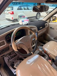 شيري كوين • ٢٠١٣ • بدون صبغ