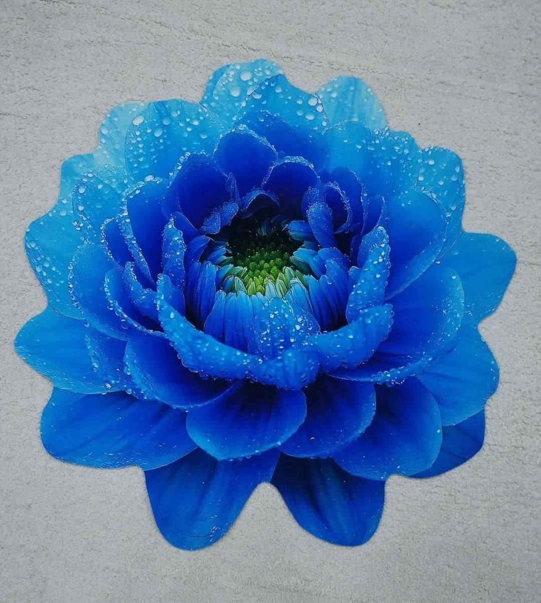 تم تكرار الموديل 
الجمال الي توفر✨

دواسات D3

شكل ورده 🔥

متوفر باكثر من لون 

السعرب8

توصيل بصرة 3محافظات 5


**إذا كنت صاحب هذا الإعلان وتريد حذفه لأي سبب، رجاءا أرسل رسالة إلى الدعم الفني**