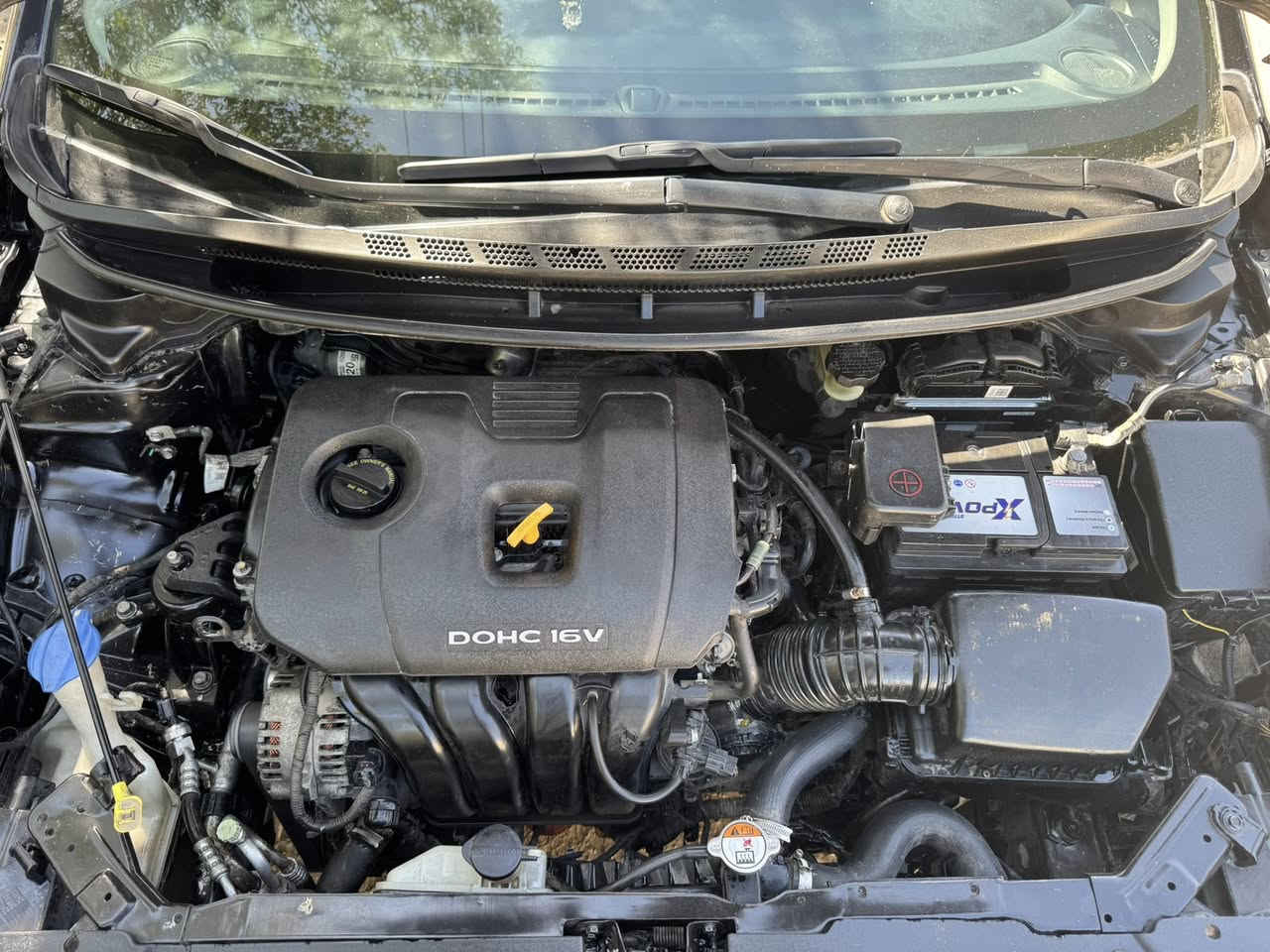 السلام عليكم فورتي 2018 رقم بغداد انكليزي تحويل مباشر السعر ( 114 $ ) مكانها بغداد *********** وارد امريكي حادث جاملغ خلفي بدون دواخل بجم كبس لغود شواصي مكفولات محرك 2000 دوش كير AT وبلعراق بيها باب السايق رشيته كلير سياره جاهزه بدون نقص الشراي يتصل
