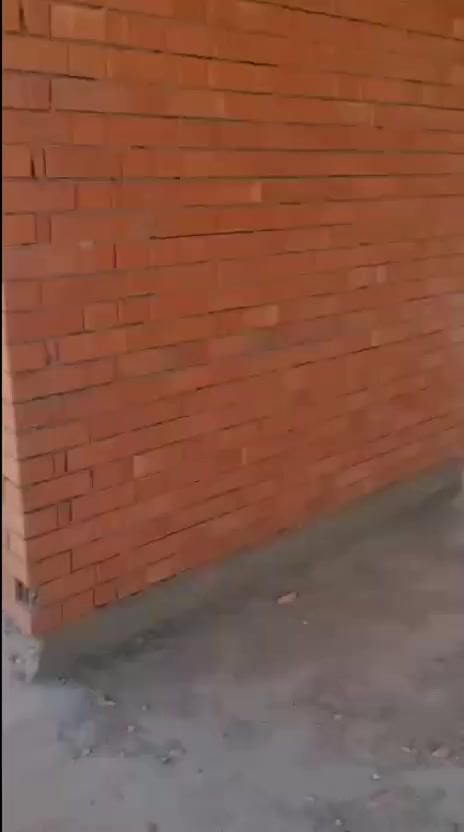 تصلح ترميم منازل جص وبورك وسمنت سرميك كاشي يشتغل  البيوت تفليش قلع كاشي سرميك بغداد فقط وتساب  ***********
