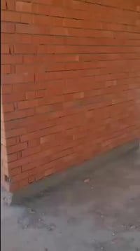 تصلح ترميم منازل جص وبورك وسمنت سرميك كاشي يشتغل  البيوت تفليش قلع كاش...