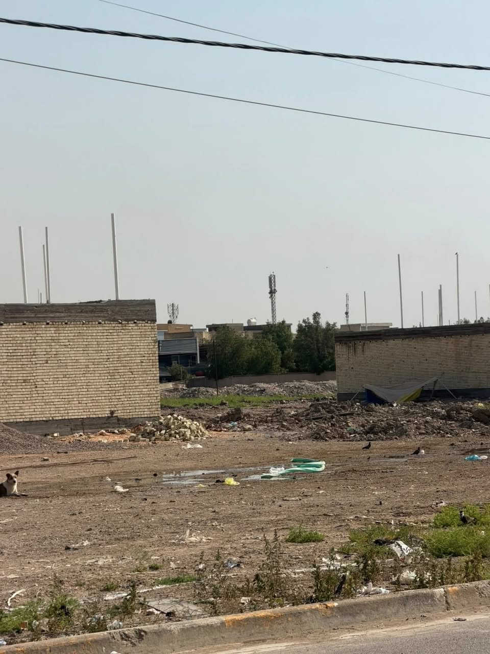 السلام عليكم
يوجدالدينا قطع اراضي سكنيه طابو زراعي 

مع كافة الخدمات 

كهرباء 

وماء 

ومجاري 

وتبليط 

العنوان الغزاليه شارع المركز قرب مرطبات البطريق

للاستفسار لاتصال ع الرقم ***********
