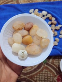 درا النجف • صحراء الرميله • كربلاء