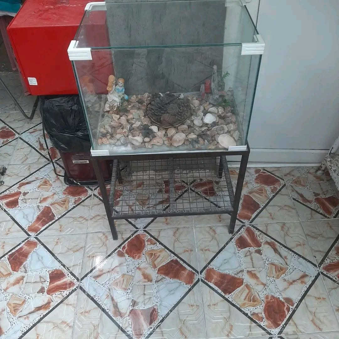 مجموعة غراض بيت للبيع باسعار مناسبة


**إذا كنت صاحب هذا الإعلان وتريد حذفه لأي سبب، رجاءا أرسل رسالة إلى الدعم الفني**