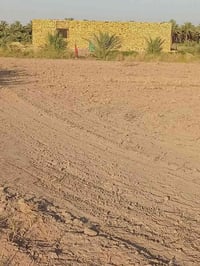 دونمين • طابو زراعي • العلاك