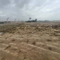 حاوي القيارة • ٦٨٩م • سند ٢٥