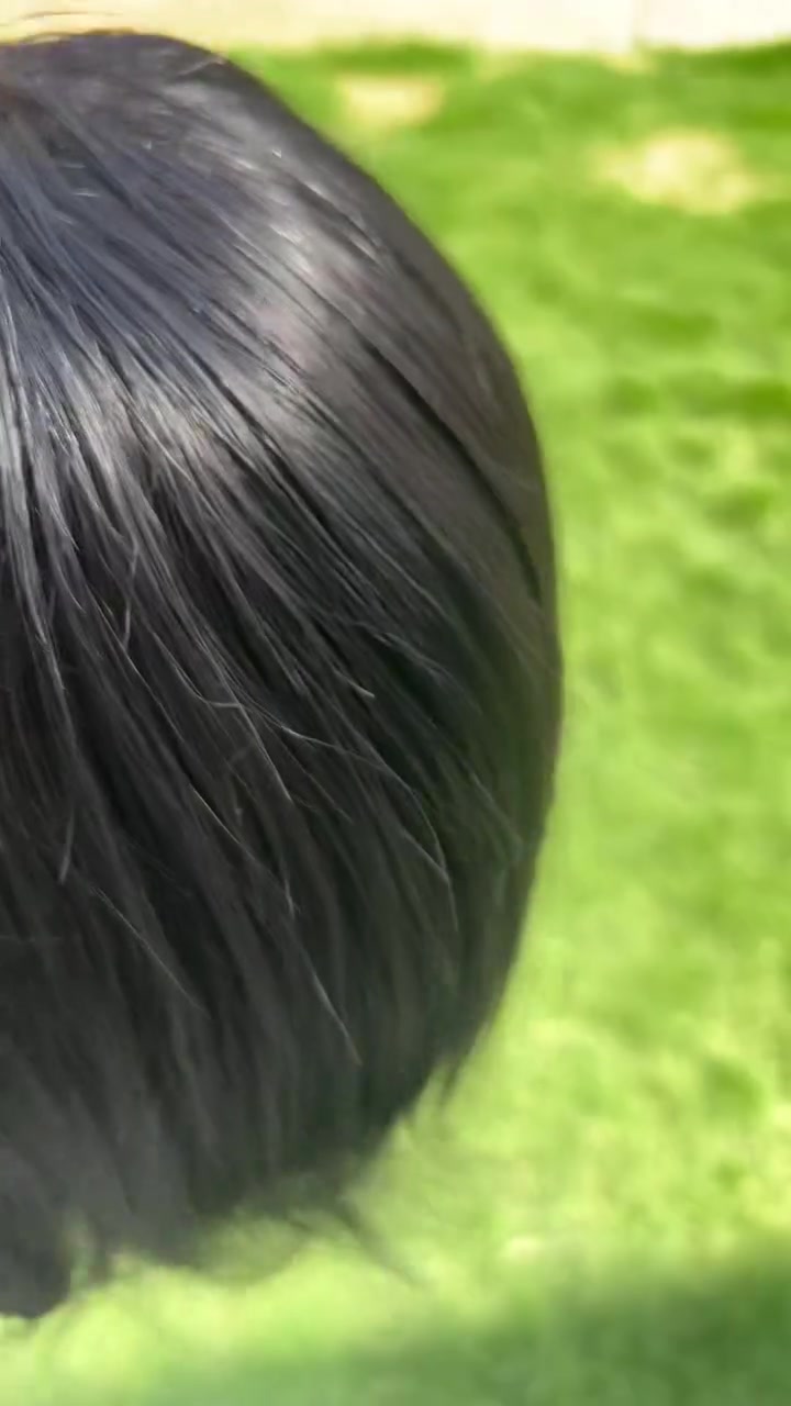 باروكه شعر طبيعي بسعر 20الف


**إذا كنت صاحب هذا الإعلان وتريد حذفه لأي سبب، رجاءا أرسل رسالة إلى الدعم الفني**