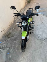 شاينك • جديد • ٢٠٢٣
