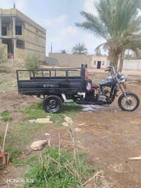 ستوته 12 • بليته • اوراق ضايعه