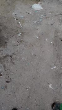 فاتون فيو • رخصة مدير الكروب • كفاله عامله