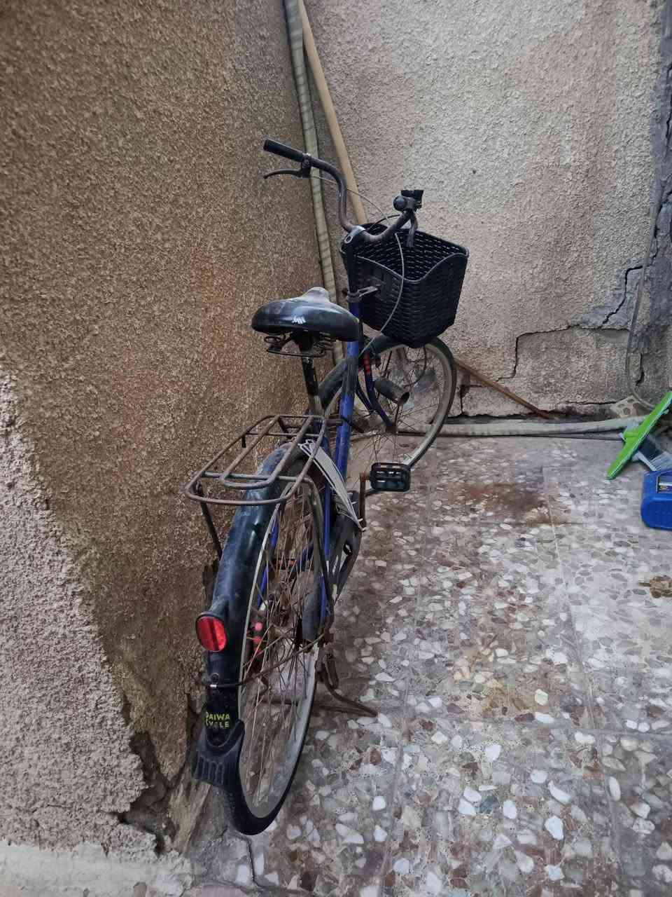سلام عليكم بايسكل للبيع الله شاهد نظيف بس تركته فتره وما يصحلي مجال اغسله رحت للصدريه جبتله زوج تايرات وزوج جوابه وعفته بعد البارحه شفت التاير الوره نازل الجوب الوره لو تبديل لو ركعه على العموم سعره ب 60 الف وبي مجال للاستفسار ***********
