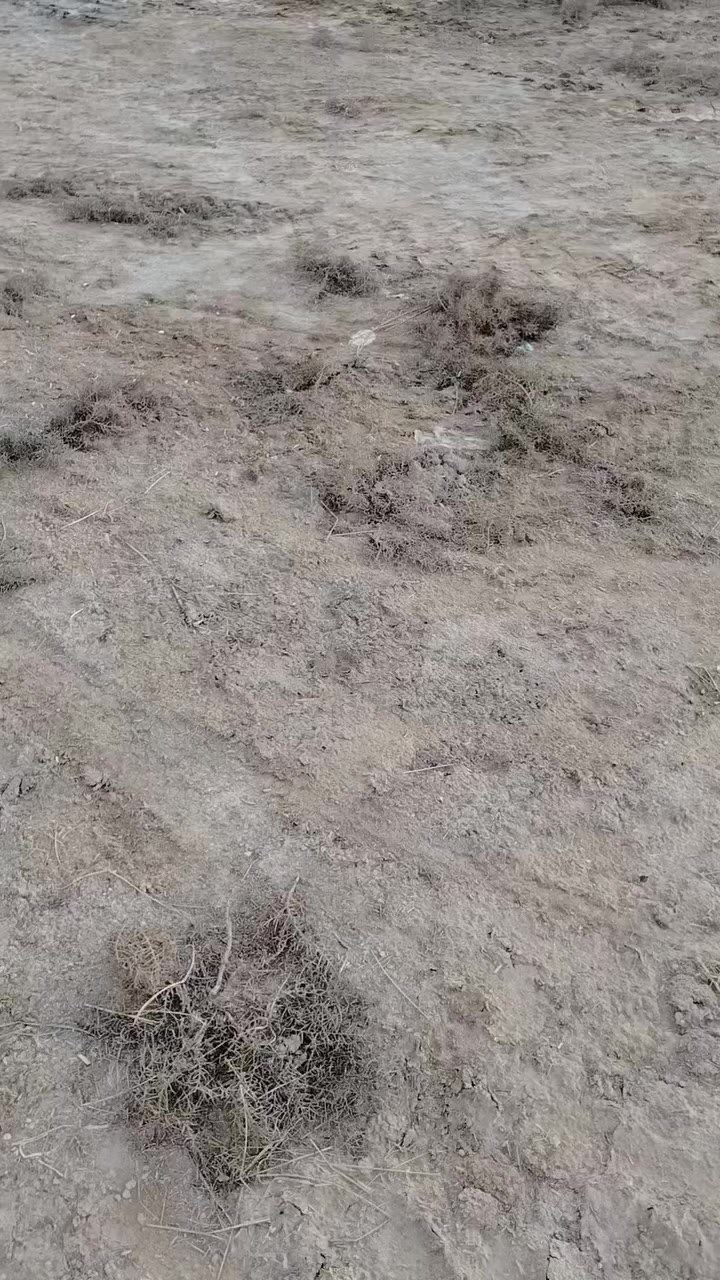 ٣دوانم شاطيه البيع تصلح سكن او استثمار الاستفسار تصال ع رقم ***********او وتساب
