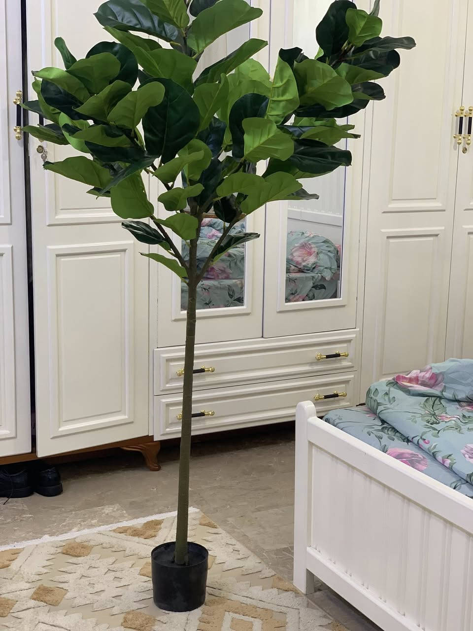 شجرة كبيرة طولها 190على اول تم 40الف


**إذا كنت صاحب هذا الإعلان وتريد حذفه لأي سبب، رجاءا أرسل رسالة إلى الدعم الفني**