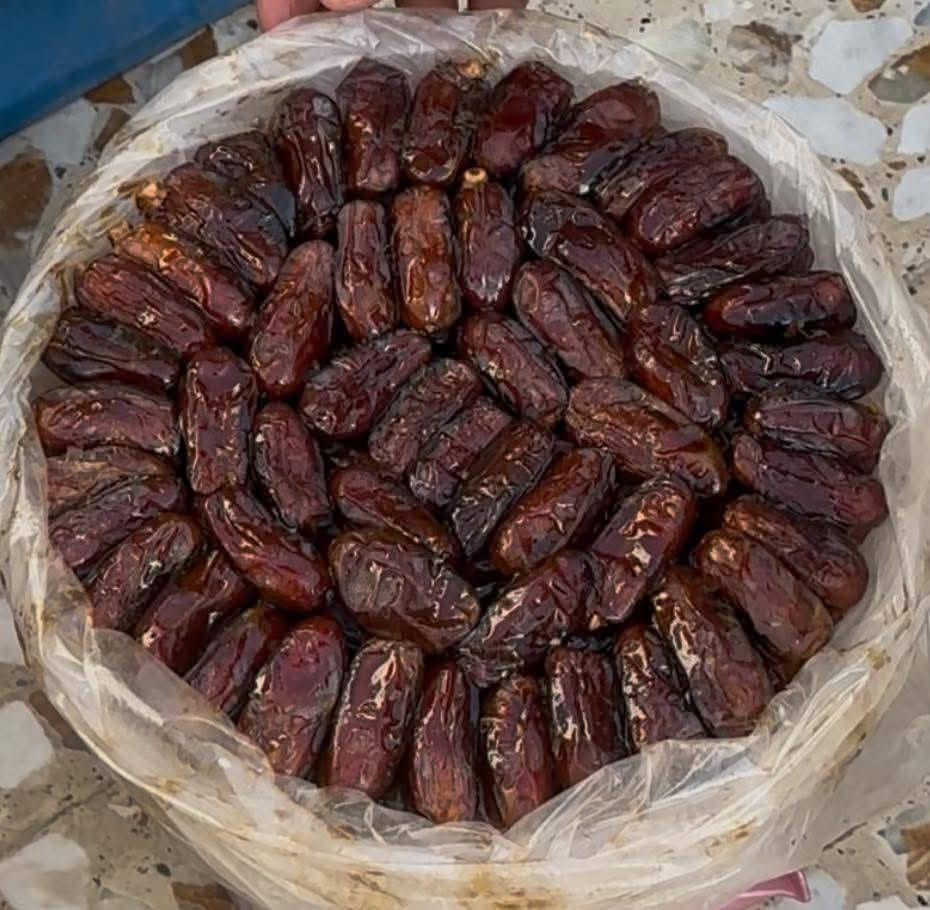 فسائل بلك درجه اولى سعر الفسيل 50 السماوة فسائل حلوات جذرهن حلو
***********
