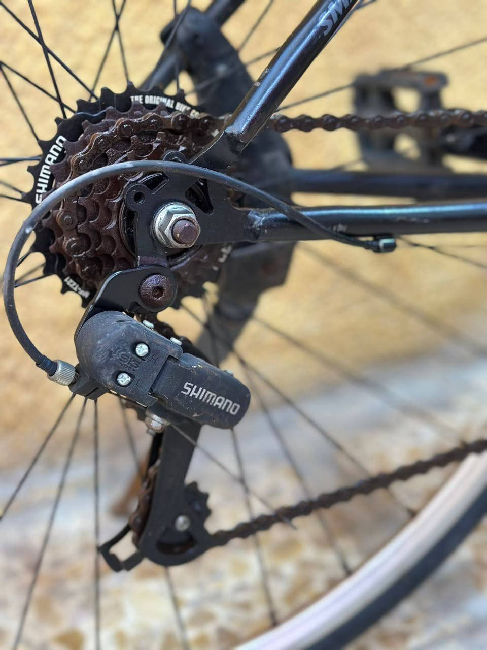 بيسكل باله وربي جاهز مابي اي نقص وكلش نظيف 95٪نظافه سستم شيمانو الصلي


**إذا كنت صاحب هذا الإعلان وتريد حذفه لأي سبب، رجاءا أرسل رسالة إلى الدعم الفني**