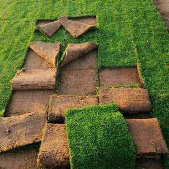 ثيل طبيعي سعر المتر 2000دينار التوصيل مجاني بغداد, العراق


**إذا كنت صاحب هذا الإعلان وتريد حذفه لأي سبب، رجاءا أرسل رسالة إلى الدعم الفني**