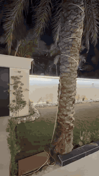 دار للبيع في الدوره البعيثه مجمع السلام  مساحة 260متر مساحة البناء 160...