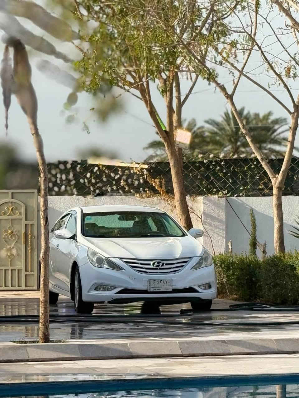 � للبيع | هيونداي سوناتا 2011 🚗
📅 الموديل: 2011

🪪 رقم: بغداد

👤 : باسمي

✅ تحويل مباشر

⚙️ المحرك: 2000 (اقتصادي)

📍 الموقع: صلاح الدين / قضاء بلد

📞 للاستفسار والاتصال:

***********

