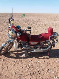 جونده • ٢٠١٥ • اوراق صولي