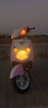 سكنس فحل • معدل ١١٦/١١٧ • دهن جديد