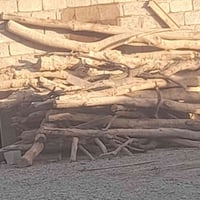 حطب • فحم يابس