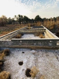 بلحصن • طابو زراعي • ١٠٠م