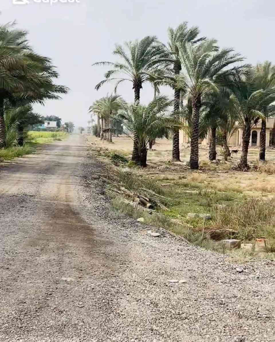 يتوفر دوانم طابو زراعي سند 25 الموقع بغداد أبوغريب منطيقه السميلات بمساحته مختلف تبعد عن ساحه إلغاء 25 دقيقه وعن السريع 10 دقايق ومخدومه بشكل الكمل من كهرباء وماء وشوارع قشط تبليط تصلح هاي الدوانم دار استراح الاستثمار الاستفسار اكثر الاتصال على الرقم ***********
