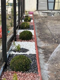 عرانيس • صب كونكريت • زراعة ثيل