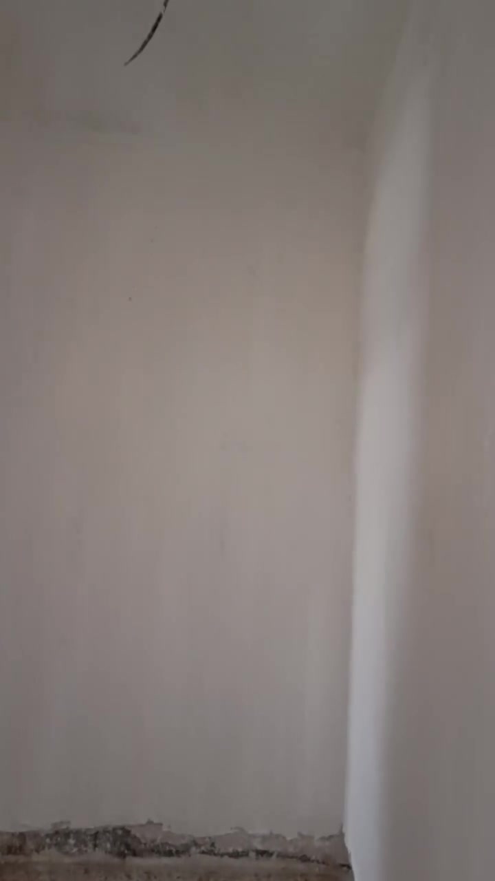 السلام عليكم ورحمة الله وبركاته #شغلنه_انشالله_يعجبكم 
شغل لبخ سمنت جص بورك كاشي سيراميك ترميم تفليش تطبيك مقرنص ارضيات بناء بلوك طابوك صبغ لبخ وجهات نشتغل كافه العمل درجة اولى سرعه ونضافه اتصل خادم ***********
