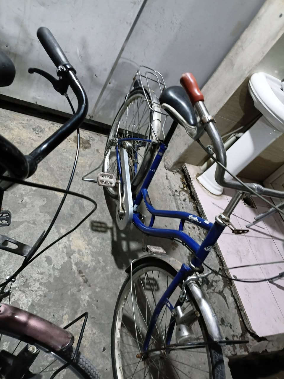 باي سكلات بناتيات للبيع سعر الازرك ول رصاصي سعر ٦٥ ولجوزي نوعيه كلوف سعر ٩٥


**إذا كنت صاحب هذا الإعلان وتريد حذفه لأي سبب، رجاءا أرسل رسالة إلى الدعم الفني**