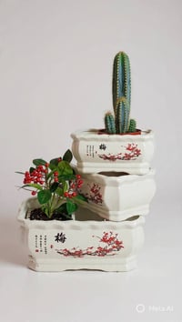 نباتات زينة • نباتات مائية • توصيل لكل المحافظات